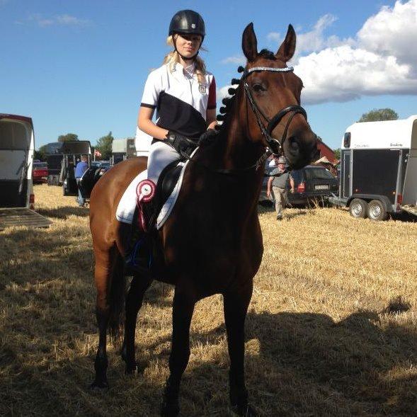 Dansk Varmblod - Fairline - Første ringridning sammen :* 12 ud af 20 ringe <3 billede 6