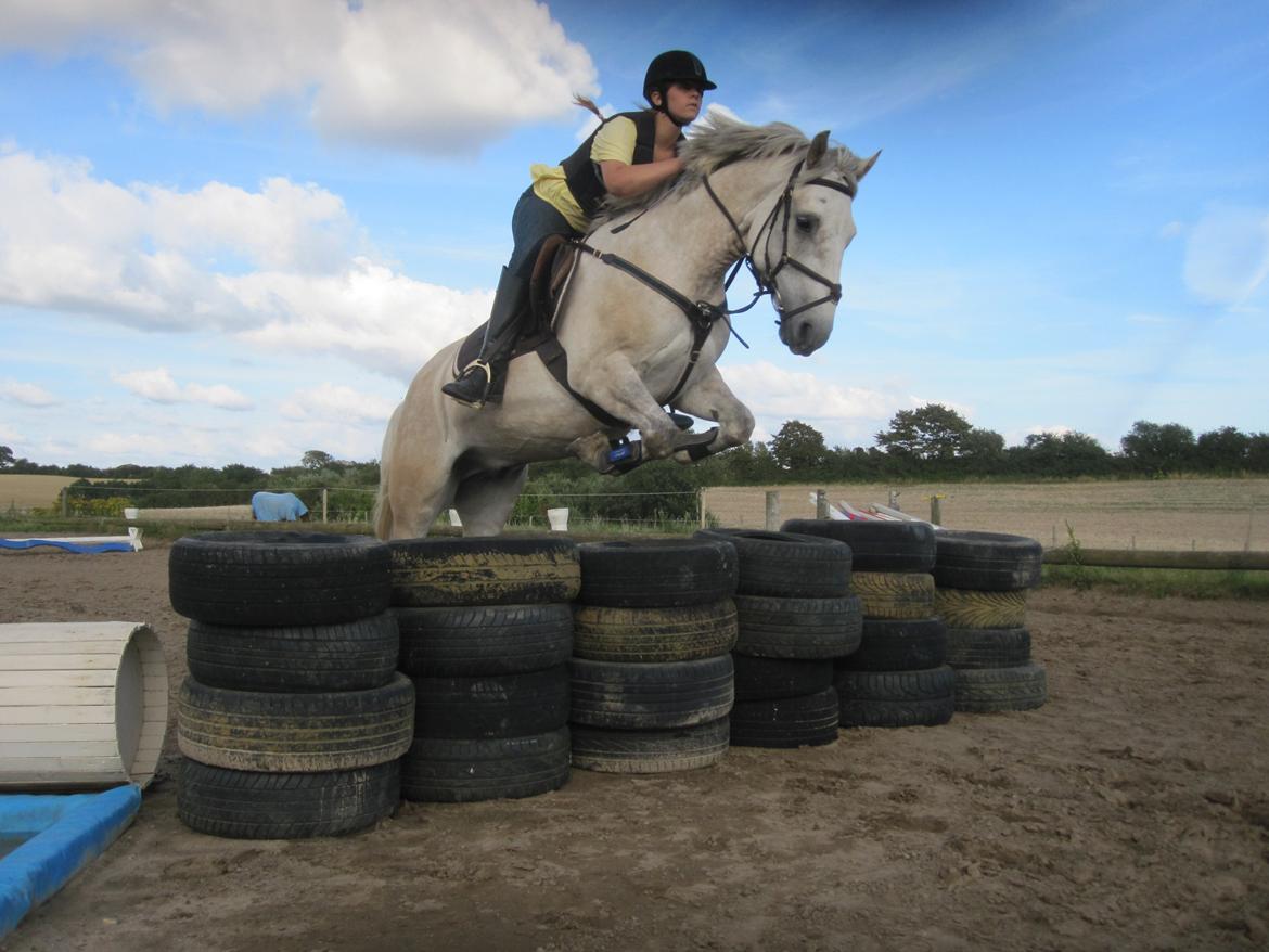 Anden særlig race silver (Min bedste ven) <3 - ridelejr 2012, første gang vi springer dæk billede 15