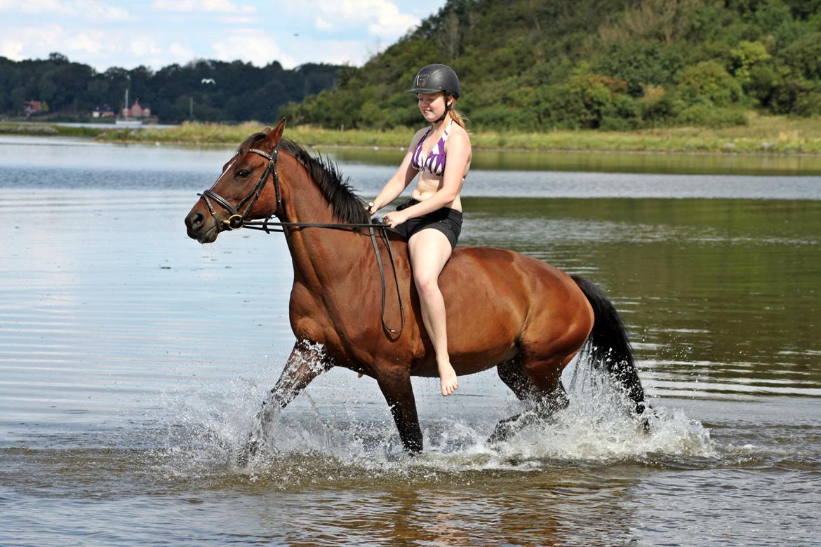 Anden særlig race Stald Birkelys Issebelle - Årets første badetur 12.08.12 ♥ Foto: Ditte Andersen billede 17