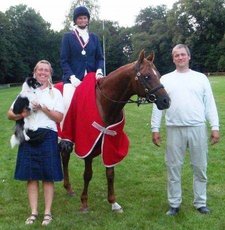 Arabisk fuldblod (OX) Makao billede 5