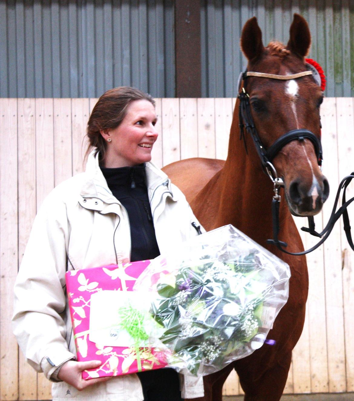 Arabisk fuldblod (OX) Makao billede 15