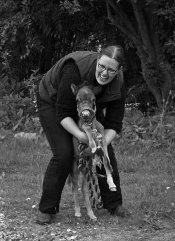 Anden særlig race Cera *Solgt* billede 19