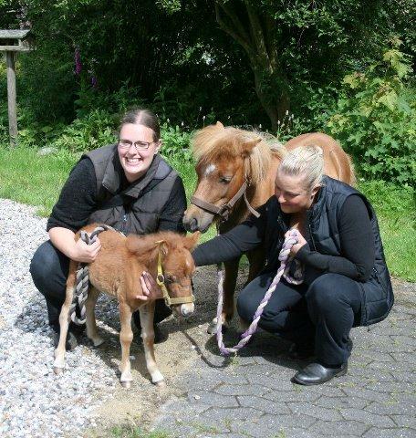 Anden særlig race Cera *Solgt* billede 20