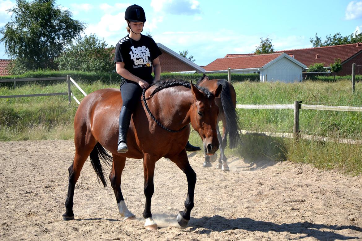 Anden særlig race TASJA - Første gang med cordeo - fantastiske hest!      12 august 2012. <3  billede 8