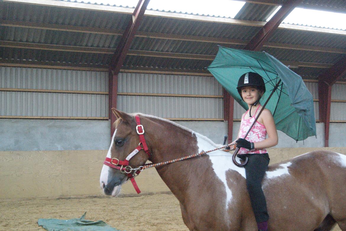 Pinto Tikana - regner det??? billede 9