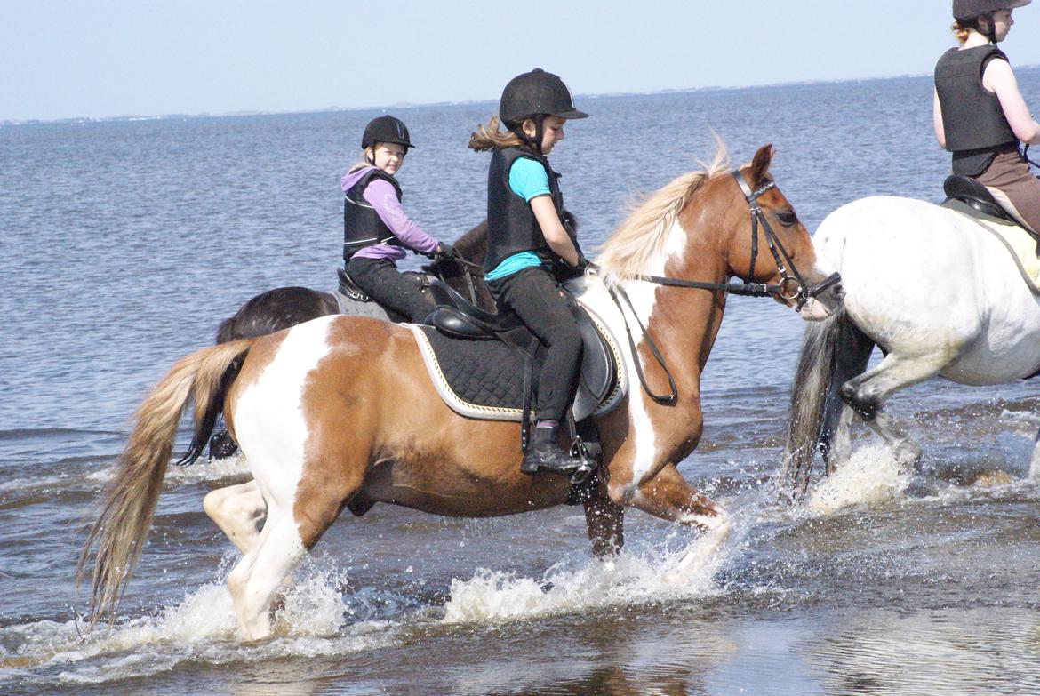 Pinto Tikana - fjorden!!! jah!!! billede 10