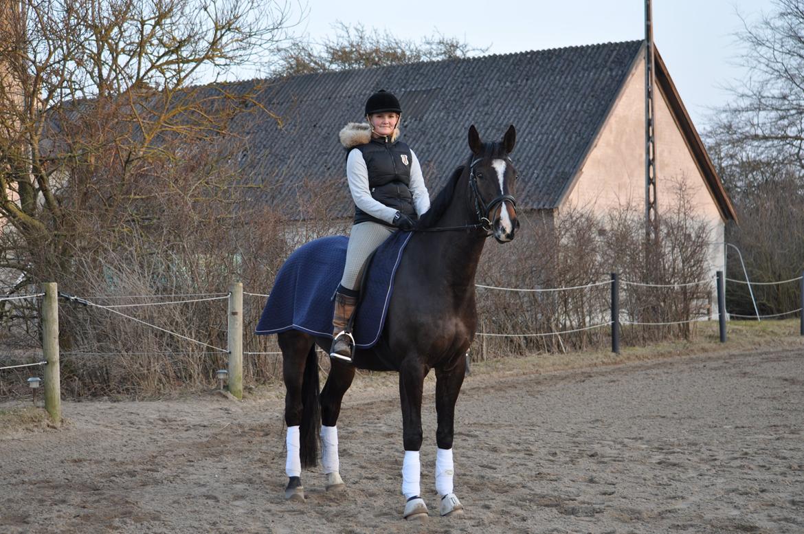 Dansk Varmblod Bonjour - marts 2011
Bonjour og Line billede 10