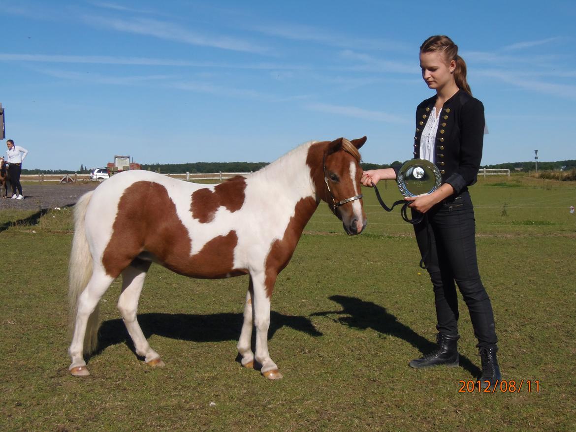 Dansk Miniature SH Millennium Surprise - #NYT#Lidt sjusket opstilling efter kåring ;)
Resultat: 7-7-7-8-6-7 (Foto: Maibrit) billede 7