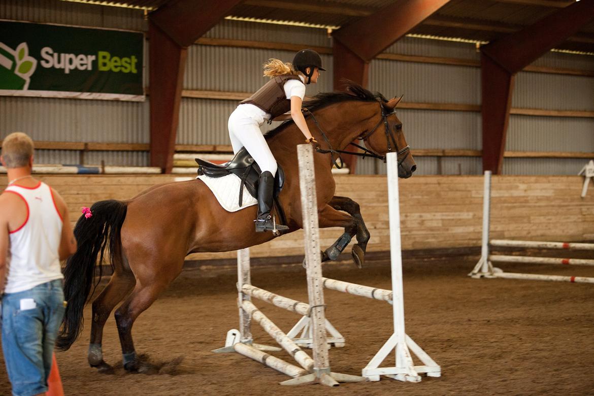 Dansk Varmblod Railo - ”hvorfor gå helt til kanten, når man ikke tør springe.” billede 11