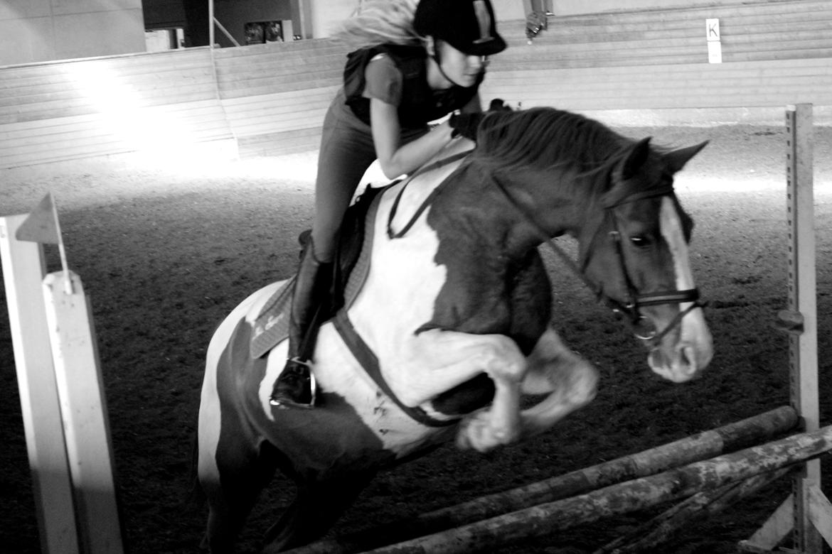 Anden særlig race Bailey<3 - "Winners never quit and quitters never win."<3 billede 8