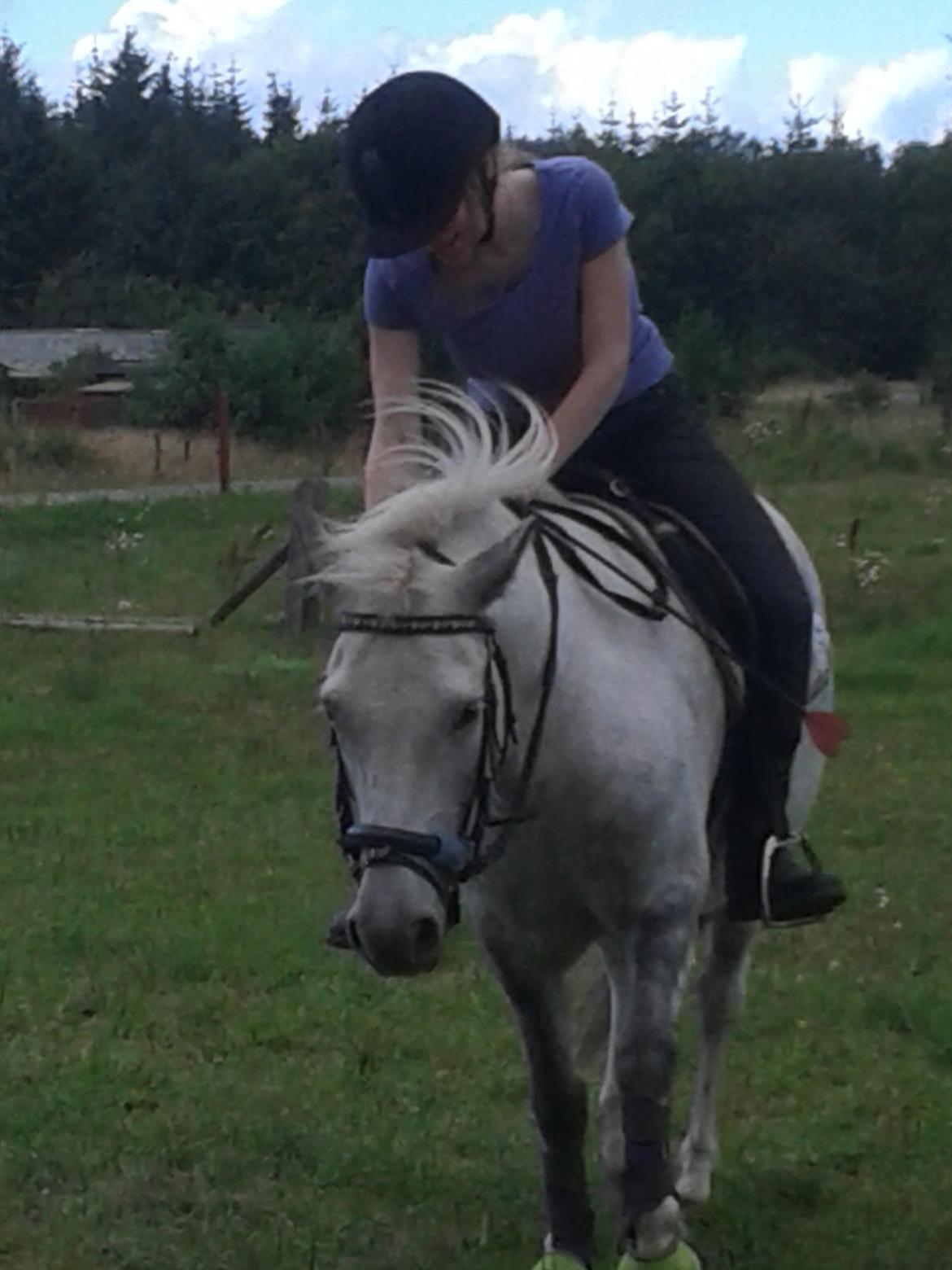 Anden særlig race Elvis(pelsdyret)(slogt):'( - masse af ros til drengen<3 billede 12