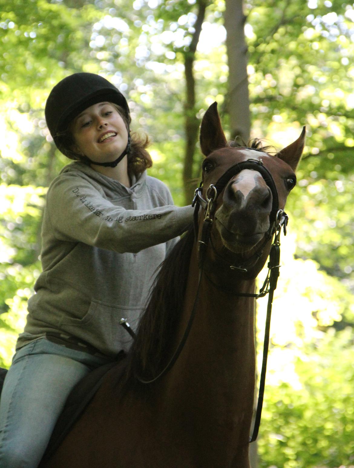 Anden særlig race Atento M.A.T.C.H - Atento har en drøm om at blive kamel når han bliver stor! - August 2012 billede 11