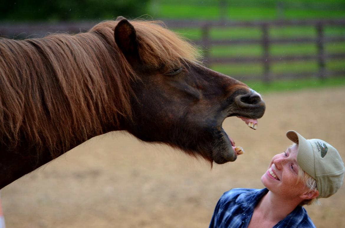 Islænder Sol fra Ærtebjerg billede 9