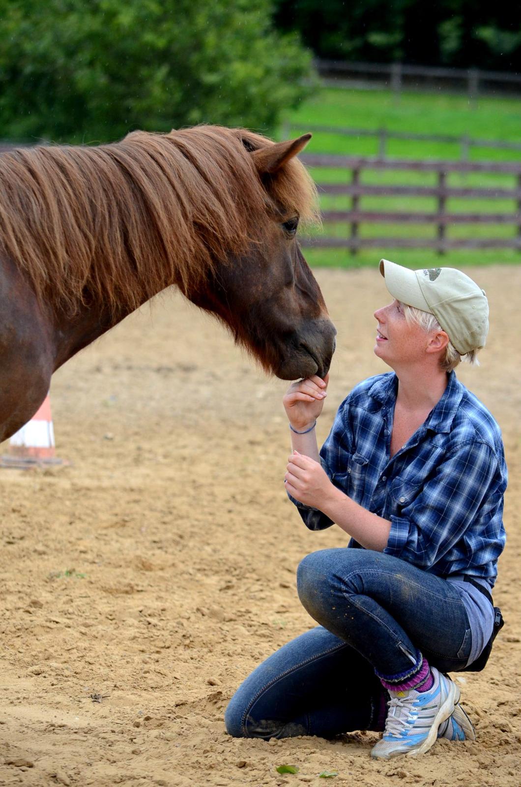Islænder Sol fra Ærtebjerg billede 4