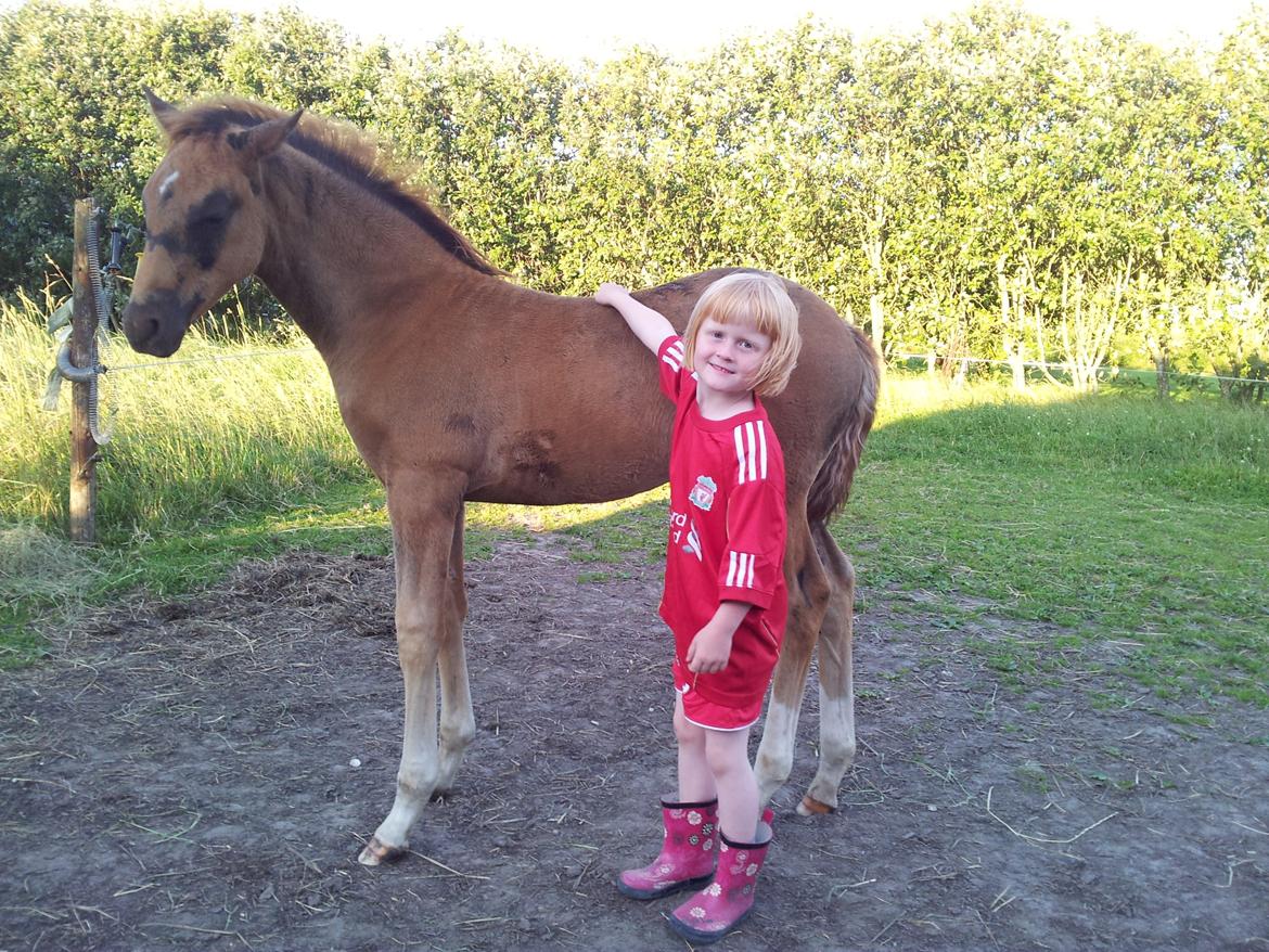 DSP Enzo M - Min niece Emme med Enzo billede 4