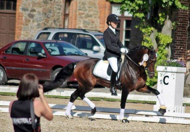 Welsh Partbred (Sec F) Bjerregårds Mozart - præmieoverrækkelse DM 2012

- baun photo billede 15