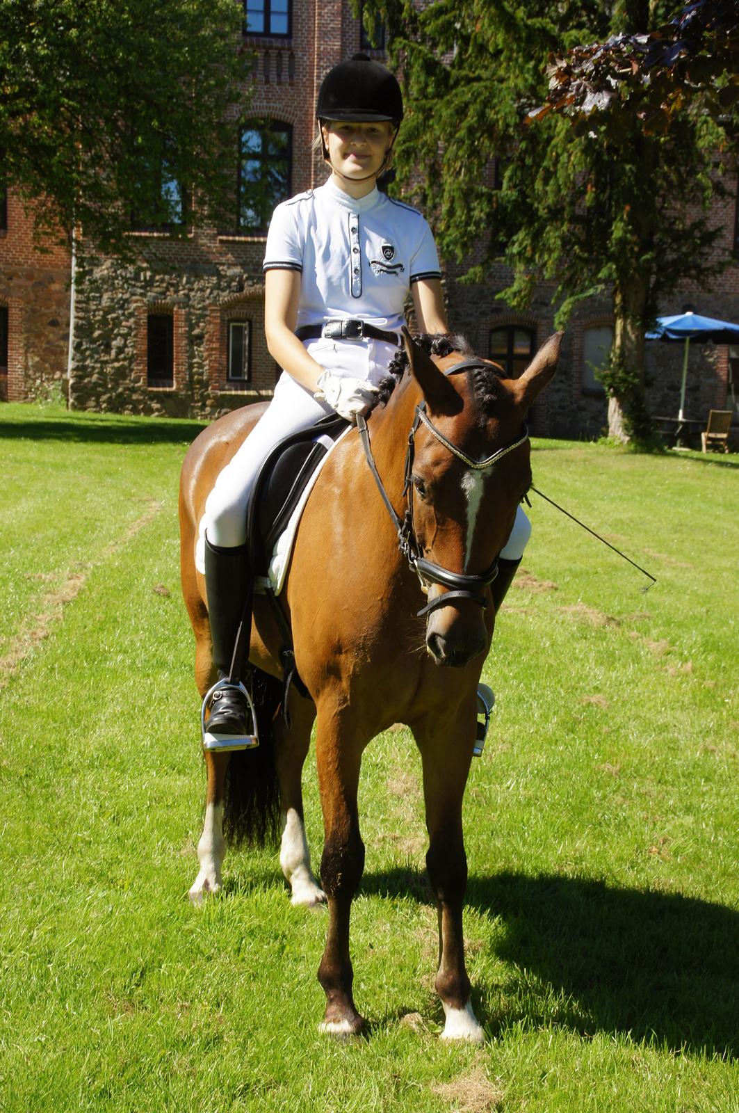 New Forest OM's Trulli *B-PONY* - Til stævne på Vilhelmsborg. billede 9