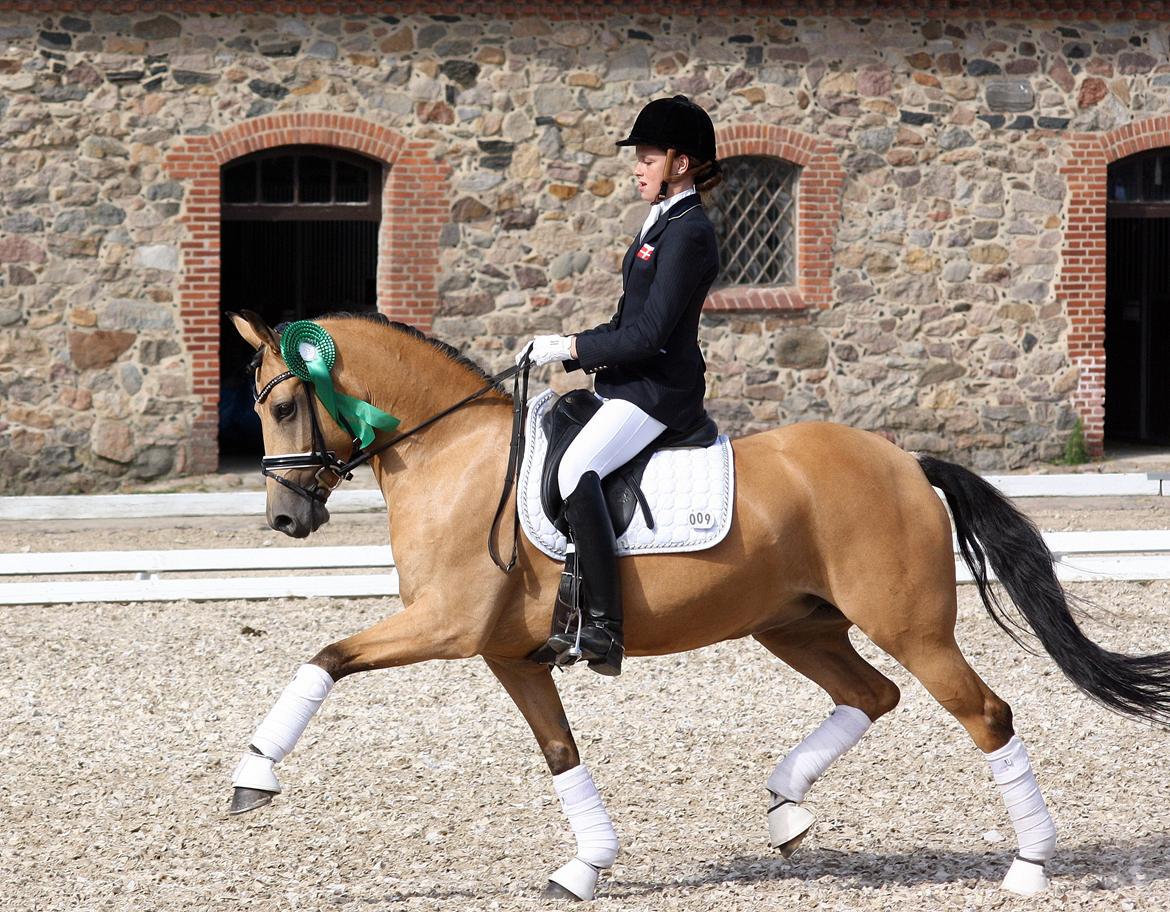 Tysk Sportspony Bodethal's Romy A-pony - Så blev Romy lige nr. 5 til DM med sine kun 6 år, er så stolt af hende ;) billede 1