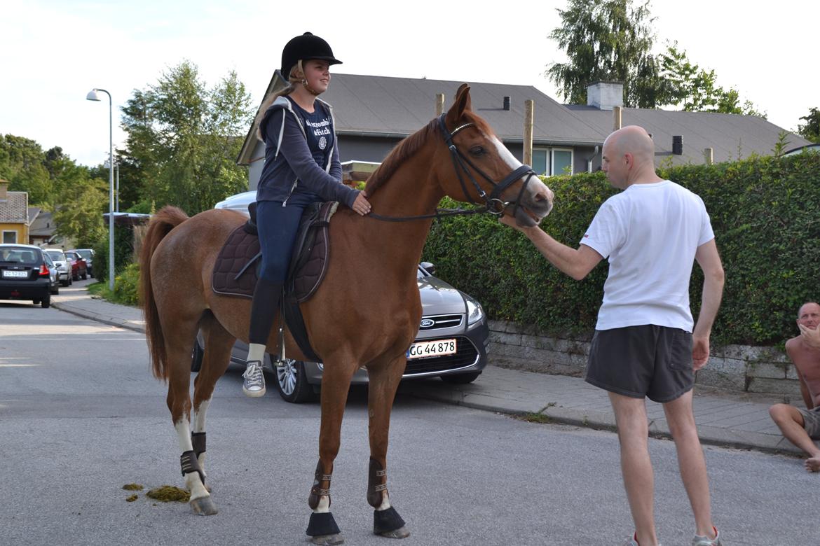DSP Fundi - Fundi på besøg der hjemme billede 7