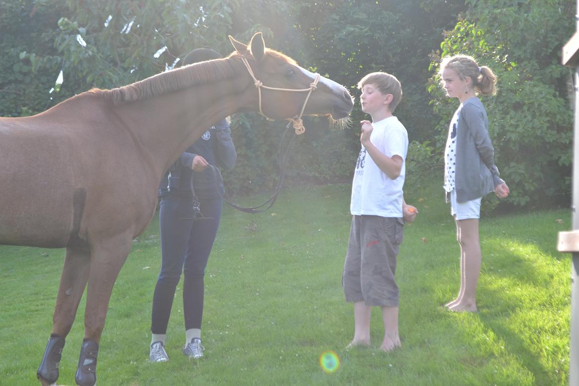 DSP Fundi - Fundi på besøg i haven <3 billede 8