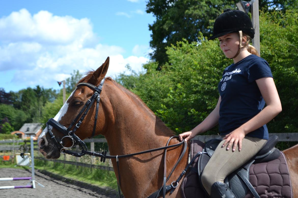 DSP Fundi billede 10