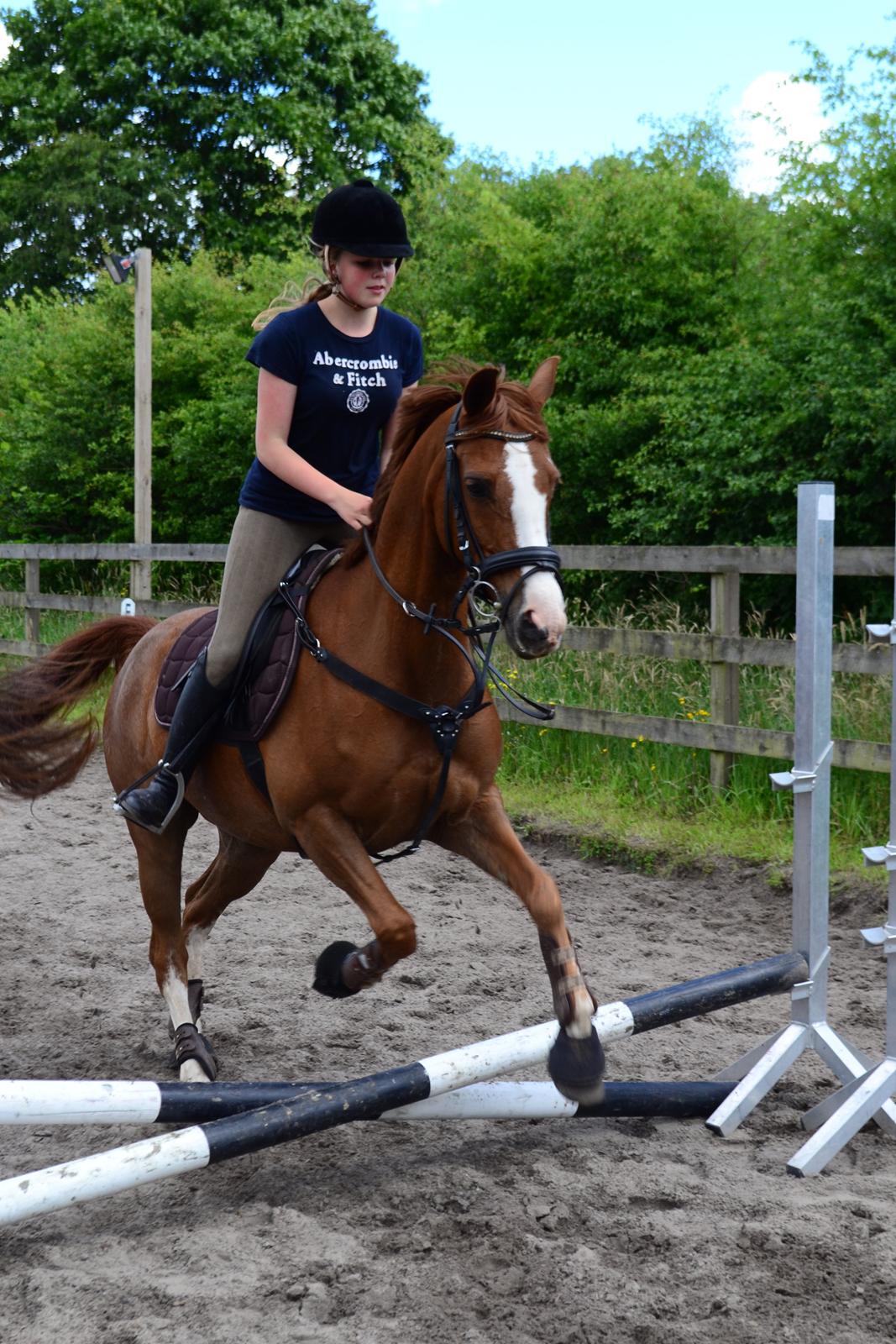 DSP Fundi billede 12