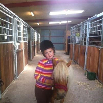 Shetlænder Lille Rosendals Clara billede 5