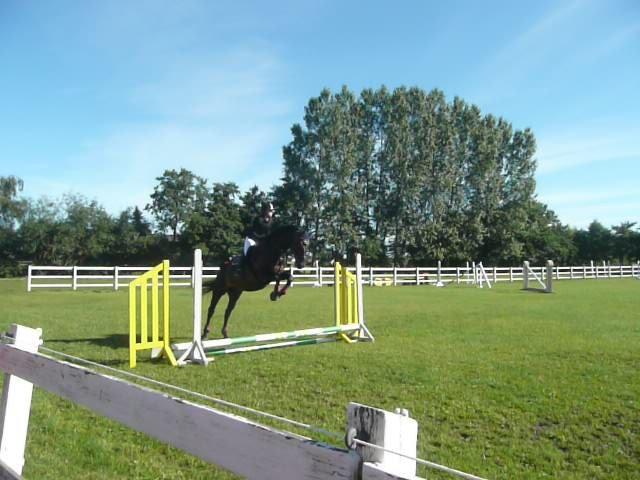 Dansk Varmblod Duet (solgt) - Første spring stævne. ;-) billede 7
