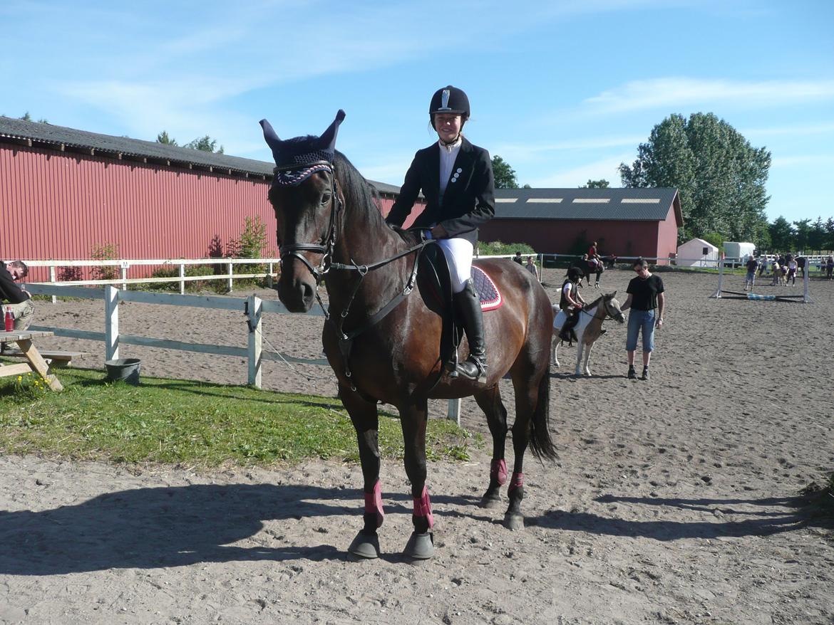 Dansk Varmblod Duet (solgt) billede 8