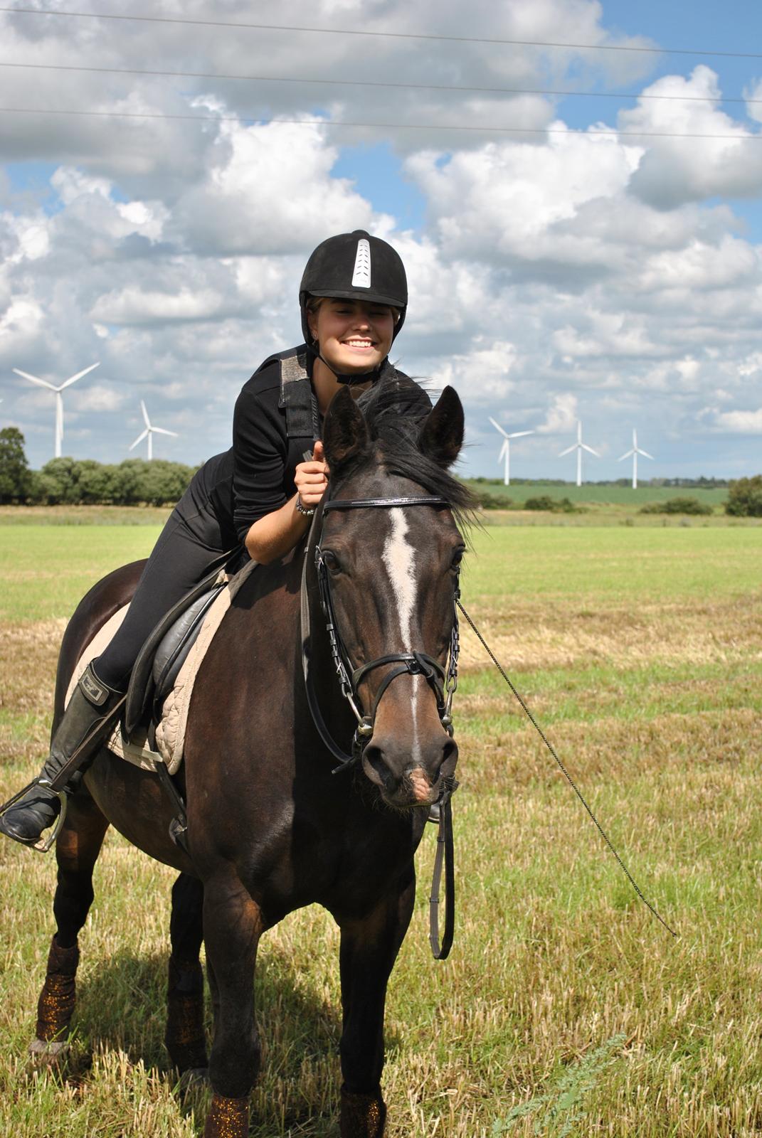 Anden særlig race Aavang's Lucas - 31.7.12.
Min skønne pony. billede 15