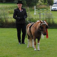 Dansk Miniature Katrinesmindes Maranello