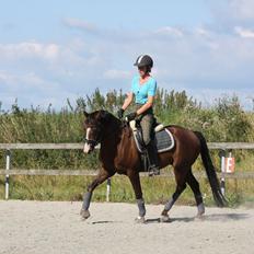 DSP Achilleus Stengaard