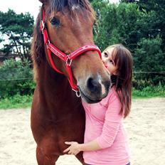 Anden særlig race Louzarina<3 (Baby-hesten)