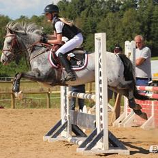 Appaloosa MR. APPELBEY **B-pony** (Søsters pony)