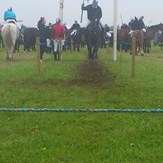 Anden særlig race Polly (min fars)