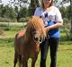 Shetlænder Nordhusets Hannibal Small <3 #Pony prinsen#
