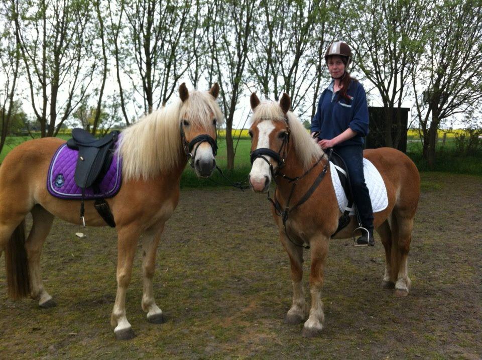 Tyroler Haflinger ICE RØGTERGÅRD - Mig & Bekka, samt ICE der venter på Stef.. billede 9