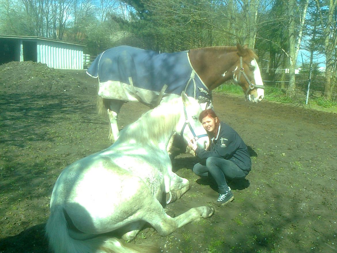 Anden særlig race • William - Søde wille(: billede 17