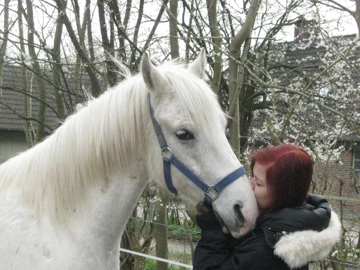 Anden særlig race • William - minskat <3 billede 18