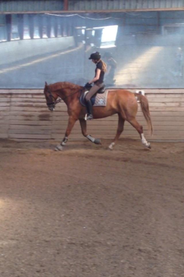 Frederiksborg Chica - GADETØSEN! <3 - Stramsur træning!  billede 9