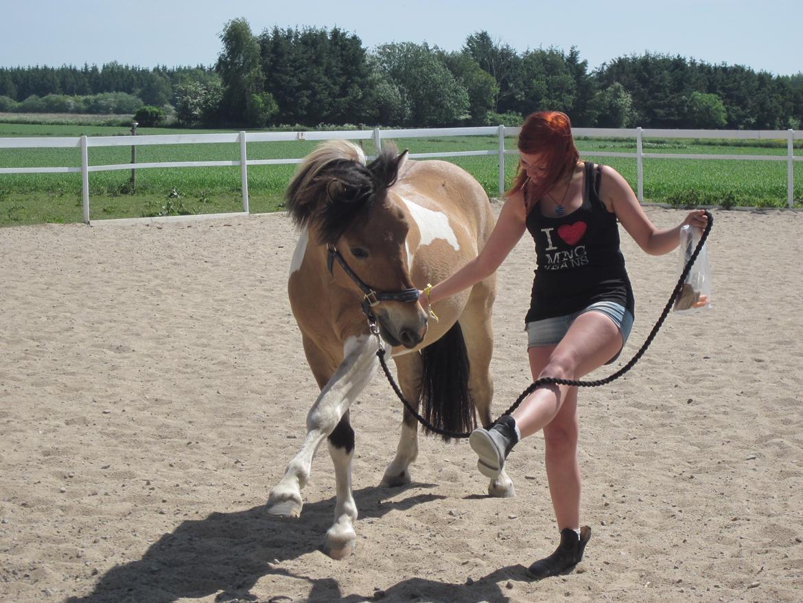 Anden særlig race • Amigo billede 8