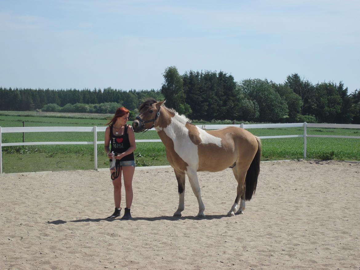 Anden særlig race • Amigo billede 10