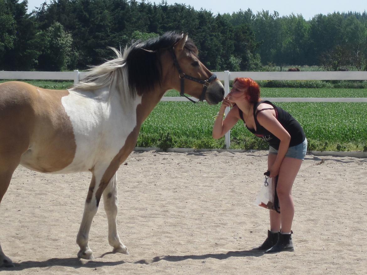 Anden særlig race • Amigo - Velkommen til Amigo's profil. billede 1