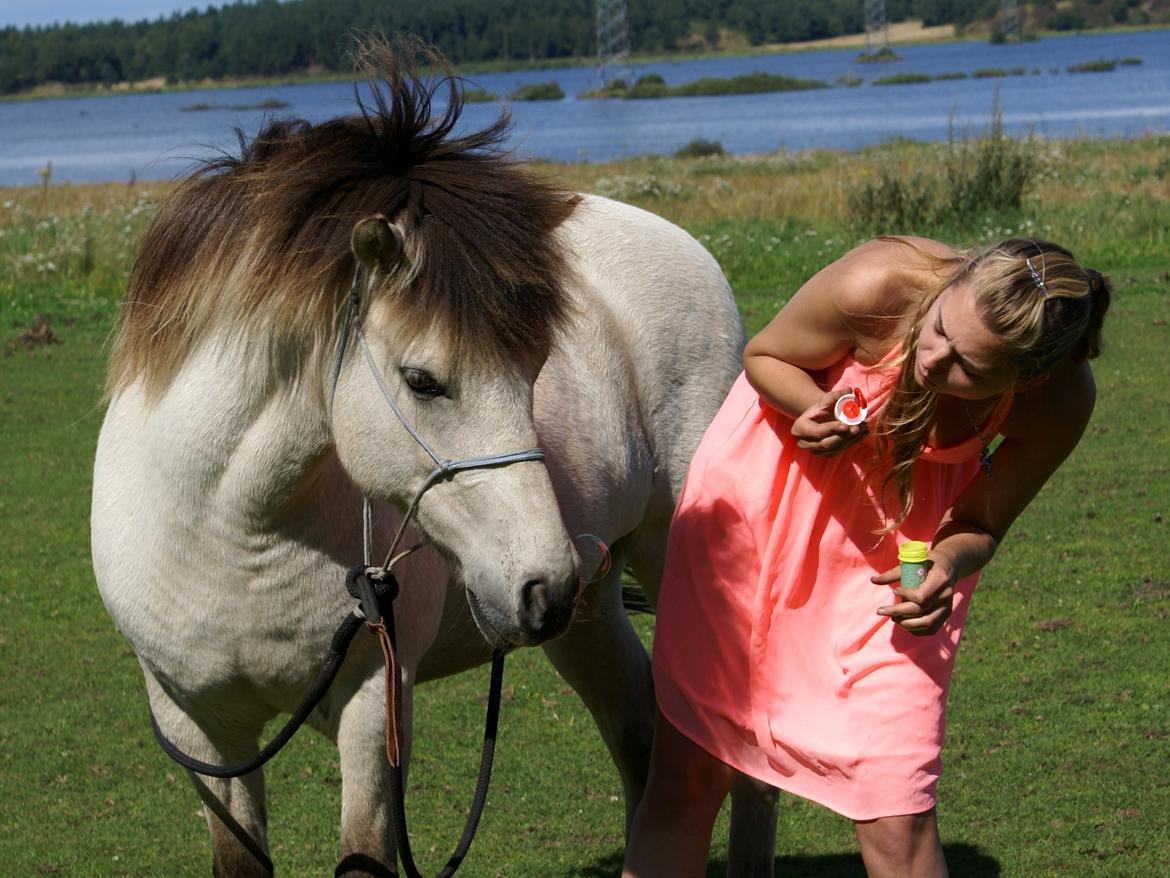 Islænder blanding Prinsesse Fiola <3 - Vi puster sæbebobbler. :) billede 14