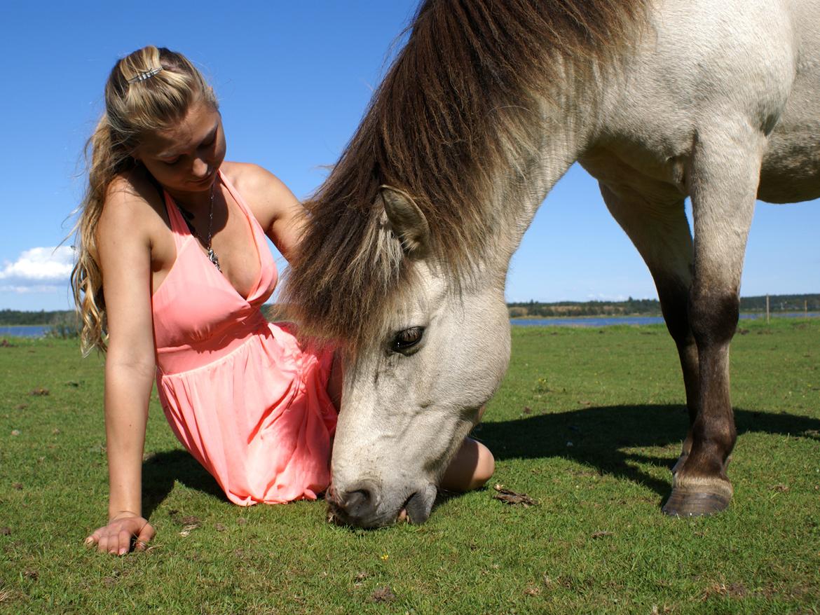 Islænder blanding Prinsesse Fiola <3 - En hyggelig sommerdag. <3  billede 17