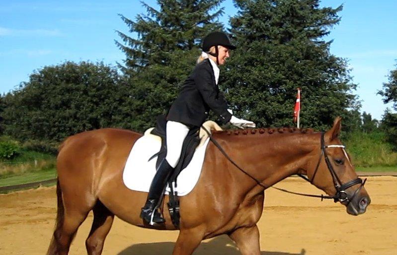 Anden særlig race Westsite Kalimero - Første stævne, LD2 til 65% :-). - D. 11-08-2012. billede 5