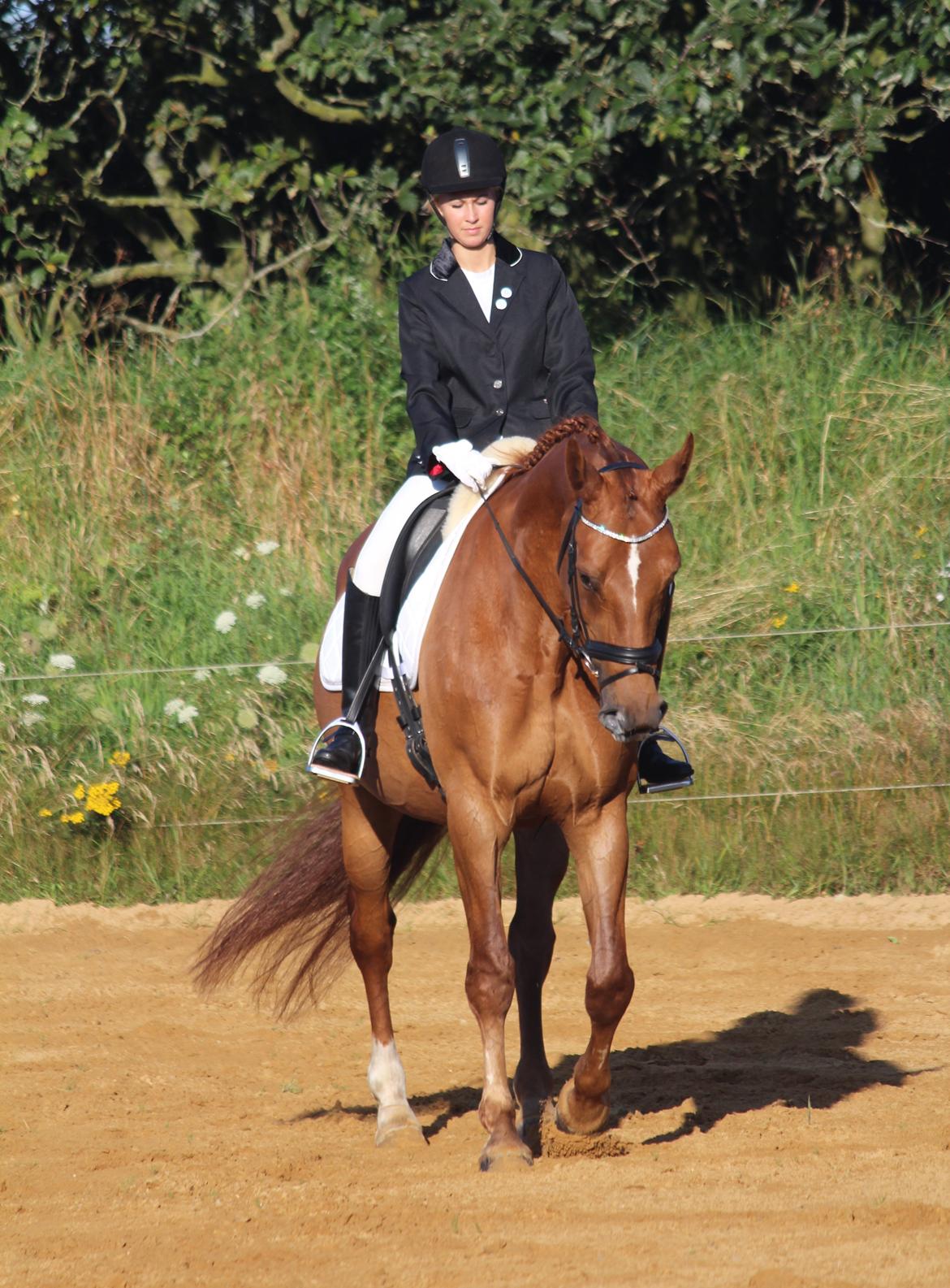 Anden særlig race Westsite Kalimero - Opvarming til første stævne :-). - D. 11-08-2012. billede 8