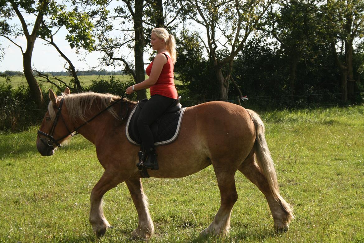 Jyde Ronja billede 7