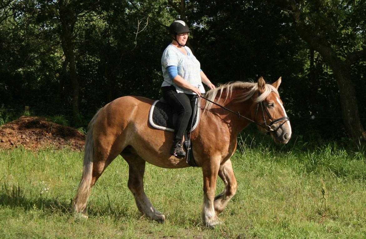 Jyde Ronja billede 10