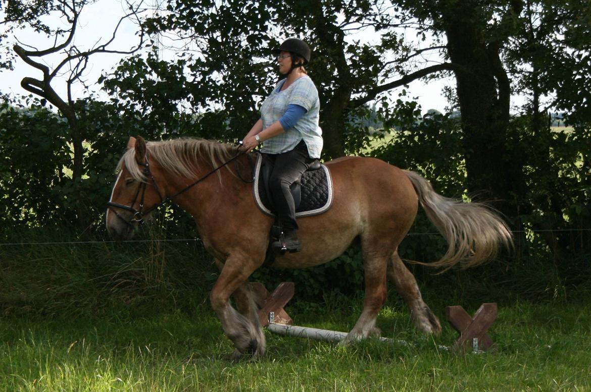 Jyde Ronja billede 11